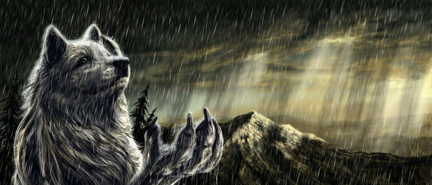 2011 4_fingers ambiguous_gender anthro canid canine canis day detailed_background digital_media_(artwork) fingers hi_res mammal outside raining sky solo wolf wolfroad