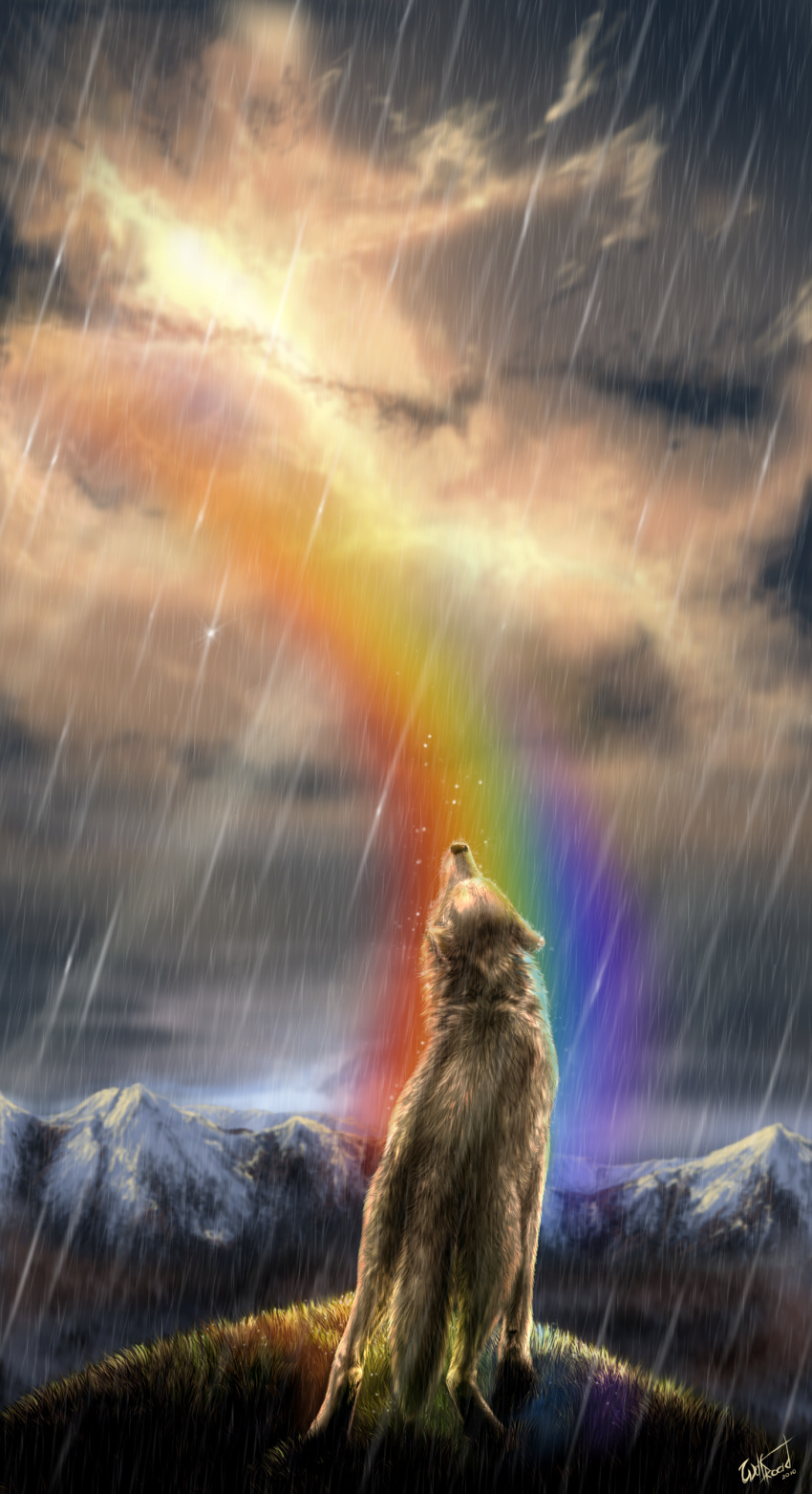 2010 absurd_res ambiguous_gender canid canine canis day detailed_background digital_media_(artwork) feral grass hi_res mammal outside rainbow raining sky solo standing wolf wolfroad