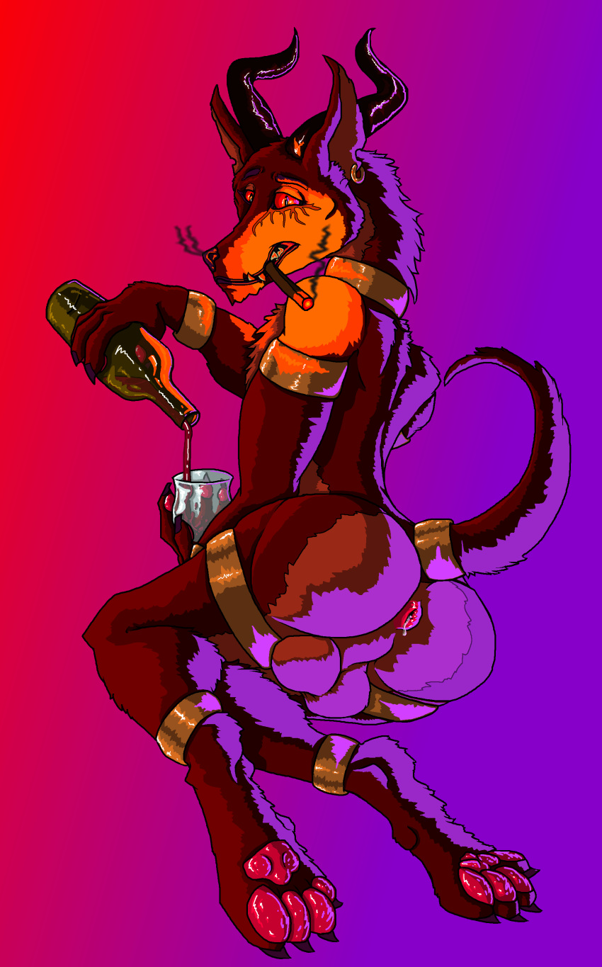 absurd_res alcohol anklet anthro anus backsack balls beverage bottle bracelet canid canine canis cigar collar demon demonic ear_piercing ear_ring glass grin hi_res horn jackal jewelry kadisurmik looking_at_viewer male mammal nude pawpads paws piercing presenting raised_tail red_eyes seductive smile smoke smoking wine