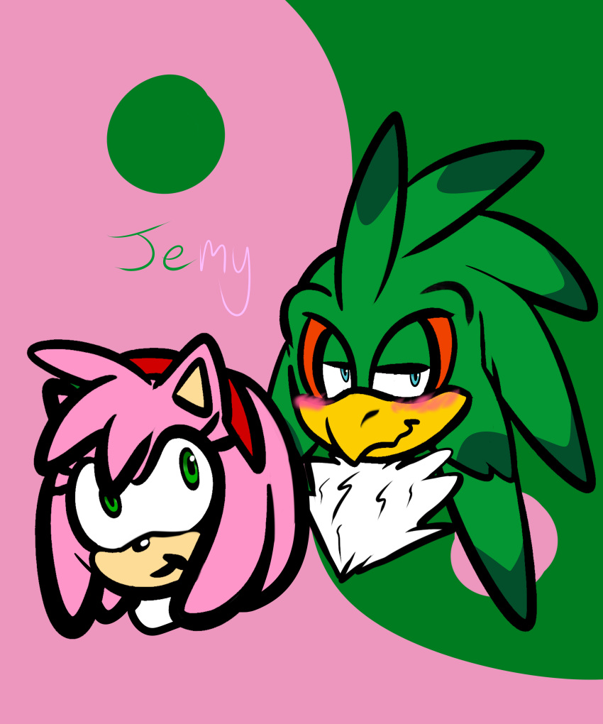 2014 absurd_res accipitrid accipitriform amy_rose avian bird blue_eyes blush chest_tuft eulipotyphlan female green_eyes hedgehog hi_res jet_the_hawk male mammal renee-moonveil sonic_(series) sonic_riders tuft yin_yang