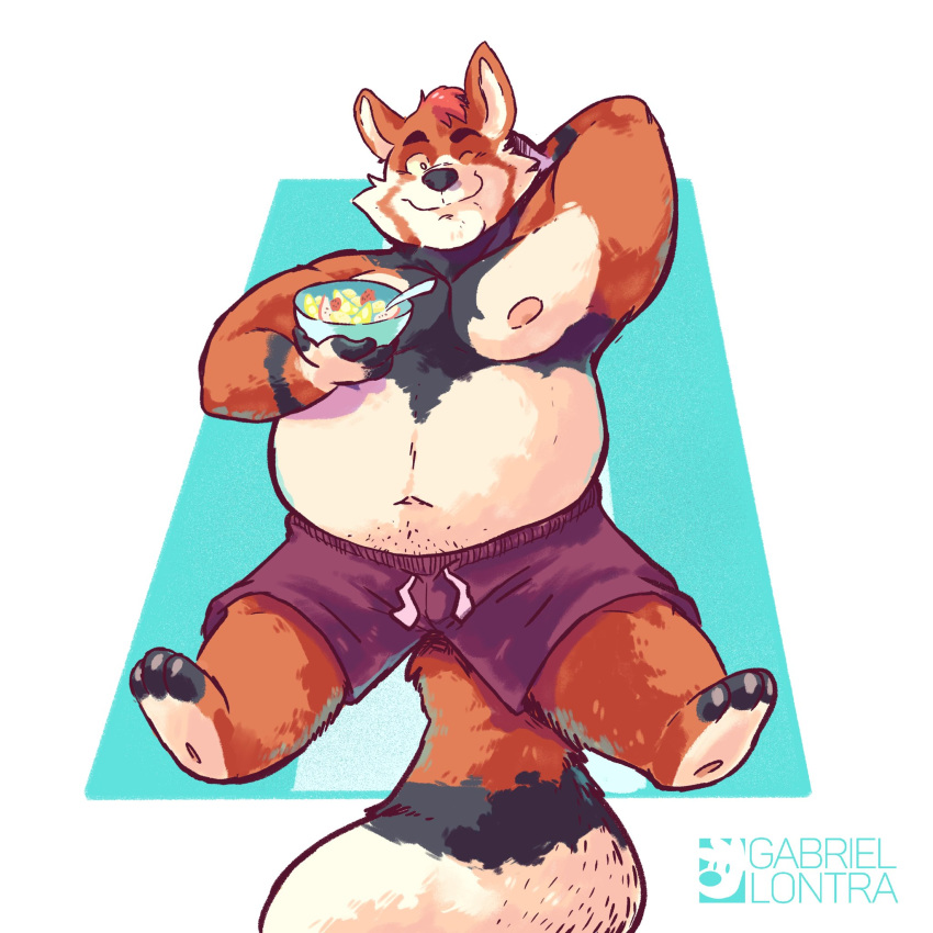 1:1 2019 ailurid anthro belly bottomwear clothing hi_res humanoid_hands male mammal moobs navel nipples one_eye_closed overweight overweight_male red_panda riversausage shorts simple_background solo wink