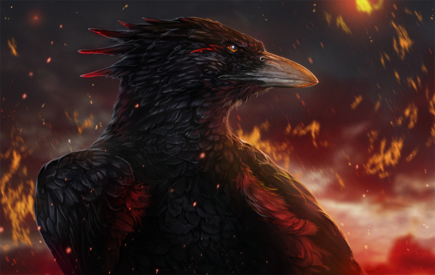 2019 ambiguous_gender avian beak bird black_body black_feathers brown_eyes day detailed_background digital_media_(artwork) european_mythology feathered_wings feathers feral greek_mythology implied_fire isvoc mythological_bird mythological_firebird mythology outside phoenix sky solo wings