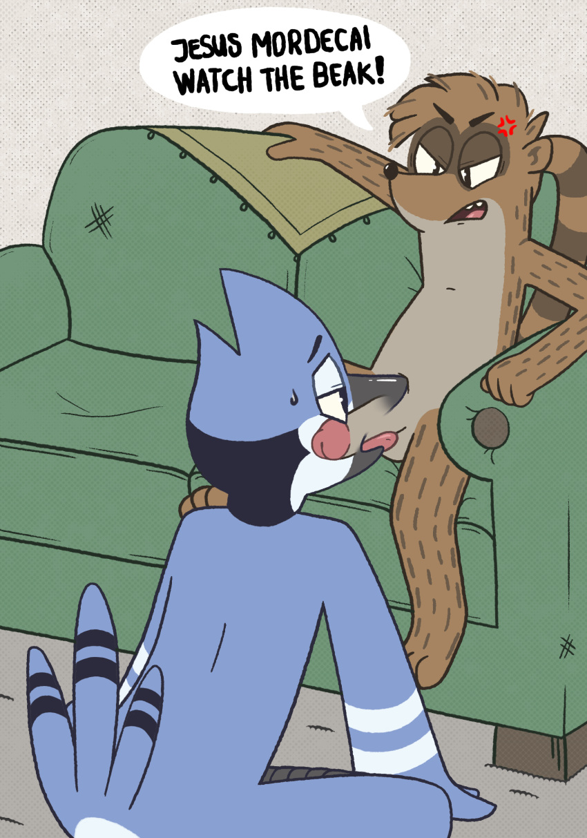 2019 angry anthro avian balls bird blue_body blue_feathers blue_jay bodily_fluids brown_body brown_fur cartoon_network corvid duo english_text erection feathers fellatio fur furniture hi_res humanoid_penis inside jay_(bird) male mammal mordecai_(regular_show) new_world_jay open_mouth oral penile penis polygonpup procyonid raccoon regular_show rigby_(regular_show) sex sofa sweat text tongue toony translucent