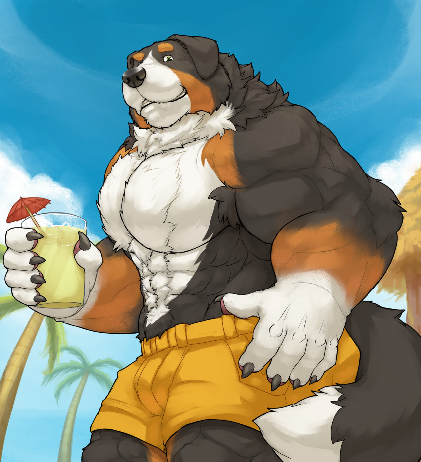 2019 5_fingers anthro barazoku beach bernese_mountain_dog beverage big_muscles black_body black_fur black_nose bottomwear brown_body brown_fur canid canine canis cinna-tree clothed clothing domestic_dog eyebrows fingers fur green_eyes hi_res looking_at_viewer male mammal molosser mountain_dog multitone_fur muscular muscular_male seaside shorts solo standing swiss_mountain_dog thick_eyebrows topless white_body white_fur