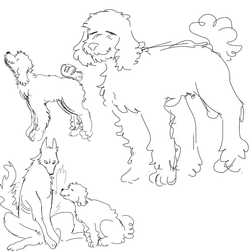 1:1 alternate_species ambiguous_gender canid canine canis clay_puppington danielle_stopframe domestic_dog duo feral feralized fluffy furrification hi_res kanrix mammal monochrome moral_orel paws poodle sitting snout solo tail wolf