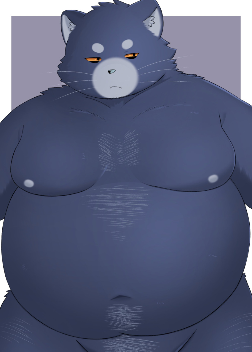 2023 absurd_res anthro belly big_belly black_nose domestic_cat felid feline felis hi_res kemono male mammal moobs navel nipples overweight overweight_male simple_background solo trail_arnak