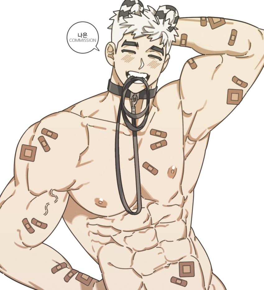 1boy abs animal_ears bandaid bandaid_on_arm bara bear_ears closed_eyes facing_viewer highres large_pectorals leash_in_mouth male_focus mismatched_eyebrows multicolored_ears muscular muscular_male na-eun_(ejdbvaaqup08jfy) nipples nude original pectorals scratching_head short_hair solo stomach thick_eyebrows too_many_bandaids upper_body white_hair