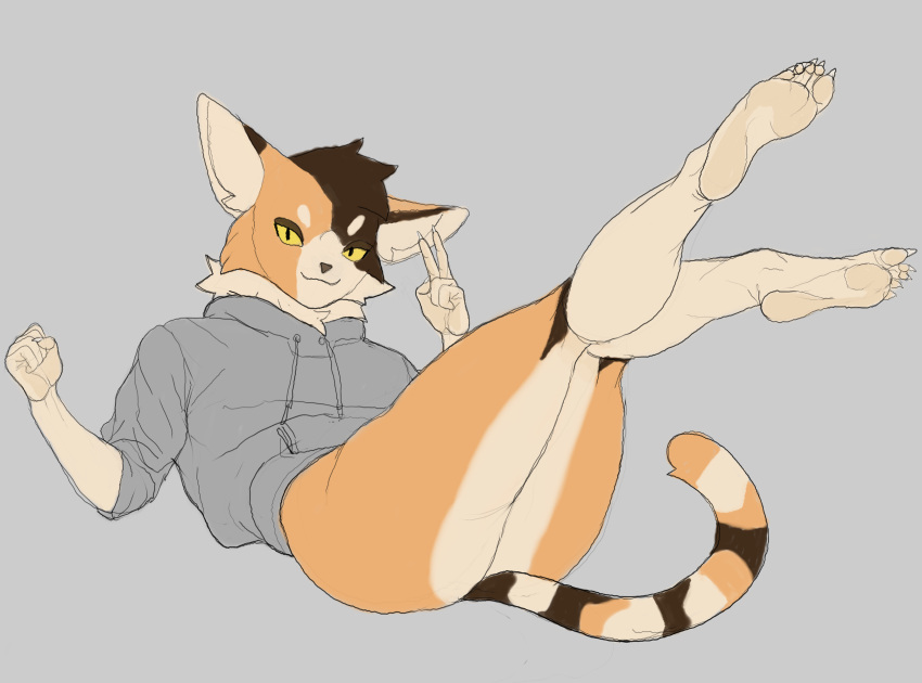 amygdahlia_(artist) anthro bottomless clothed clothing feet felid feline fist foot_focus gesture hi_res hoodie hoodie_only looking_at_viewer male mammal neck_tuft reclining soles solo topwear topwear_only tuft v_sign
