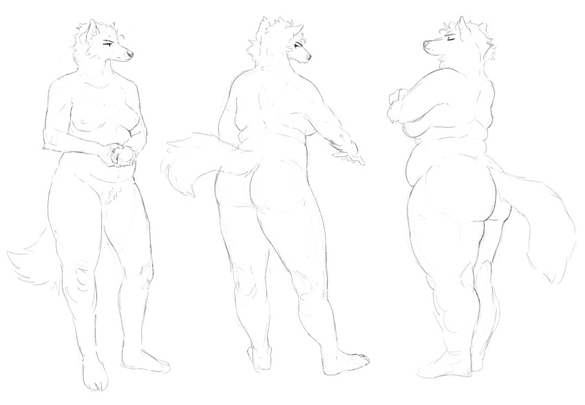 2022 anthro belly breasts butt canid canine canis cettus crossed_arms crotch_tuft featureless_crotch female front_view hands_together hi_res mammal nipples nude overweight overweight_anthro overweight_female rear_view sequence side_boob side_view sketch slightly_chubby slightly_chubby_anthro slightly_chubby_female solo standing tail tuft weight_gain wolf