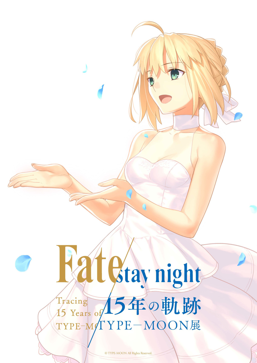 fate/stay_night saber tagme takeuchi_takashi type-moon