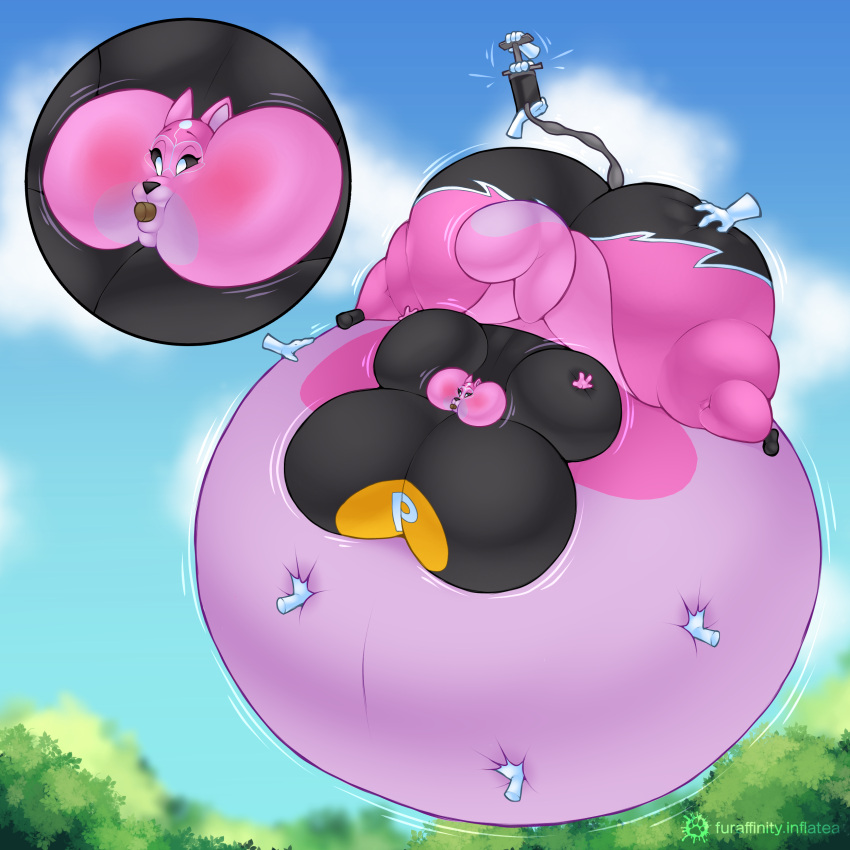 2024 absurd_res air_inflation air_pump anthro artist_name belly belly_expansion belly_inflation belly_rub belly_squish big_belly big_breasts big_butt black_bottomwear black_clothing black_nose black_pants black_sclera black_shirt black_topwear blush body_inflation bottomwear breast_expansion breasts butt butt_expansion butt_squish cheek_bulge cheek_expansion close-up clothing cloud cloudscape colored cork cork_in_mouth digital_media_(artwork) disembodied_hand expansion eyelashes female floating grey_hose hand_on_butt hand_on_stomach hi_res hose hose_in_butt hose_inflation huge_breasts huge_butt hyper hyper_belly hyper_breasts hyper_butt hyper_cheeks hyper_inflation immobile inflation inflation_fetish mammal mask motion_lines p-balloon pants pink_body pink_bottomwear pink_clothing pink_ears pink_inner_ear pink_mask pink_pants pink_tail plant puffed_cheeks rodent sciurid shaded shirt sky solo spandex sports_mask sportswear squish susie_(reathe) swelling tail tail_expansion thick_thighs tight_clothing tina-little-bird topwear tree tree_squirrel white_eyes wrestling_mask wrestling_outfit