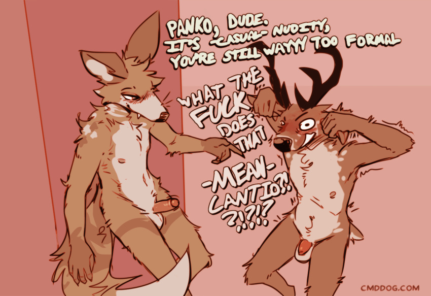 anthro anthro_on_anthro antlers balls biped blush brown_body brown_fur canid canine canis cantio_(lawyerdog) casual_nudity countershade_fur countershade_torso countershading coyote deer dialogue duo english_text fur genitals glans horn humanoid_genitalia humanoid_penis interspecies lawyerdog male male/male mammal panko_(lawyerdog) penis tail text