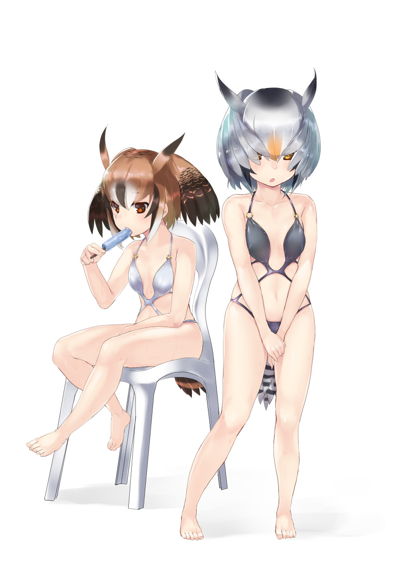 cleavage eurasian_eagle_owl kemono_friends northern_white-faced_owl swimsuits tadano_magu tail wings