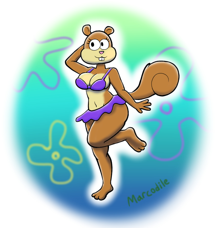 anthro bikini breasts brown_body brown_fur clothing female fur hi_res looking_at_viewer mammal marcodile multicolored_body multicolored_fur nickelodeon purple_clothing rodent sandy_cheeks sciurid solo spongebob_squarepants swimwear tree_squirrel two_tone_body two_tone_fur wide_hips