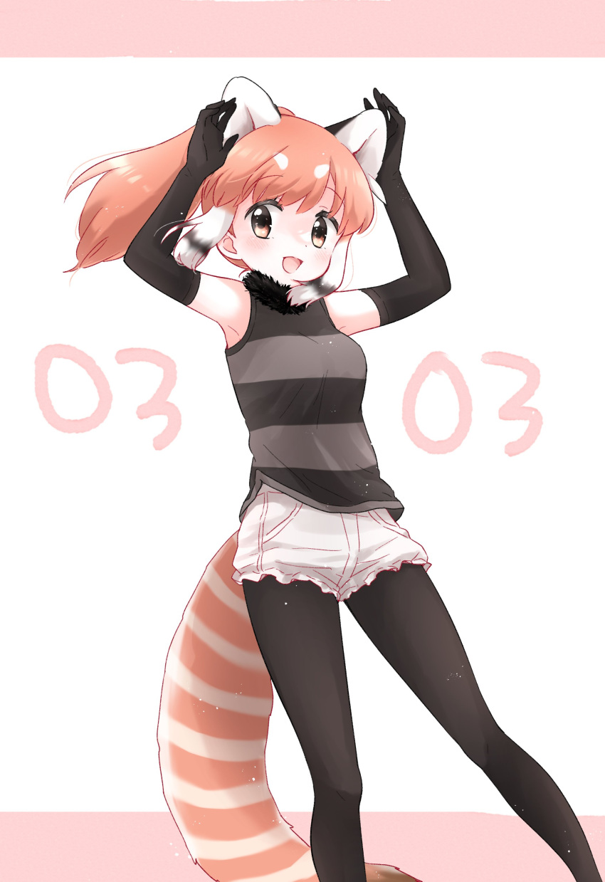 1girl absurdres animal_ears brown_eyes brown_hair elbow_gloves extra_ears gloves highres kemono_friends kuromitsu_(9633_kmfr) long_hair looking_at_viewer pantyhose ponytail red_panda_(kemono_friends) red_panda_ears red_panda_girl red_panda_tail shorts simple_background sleeveless solo sweater tail