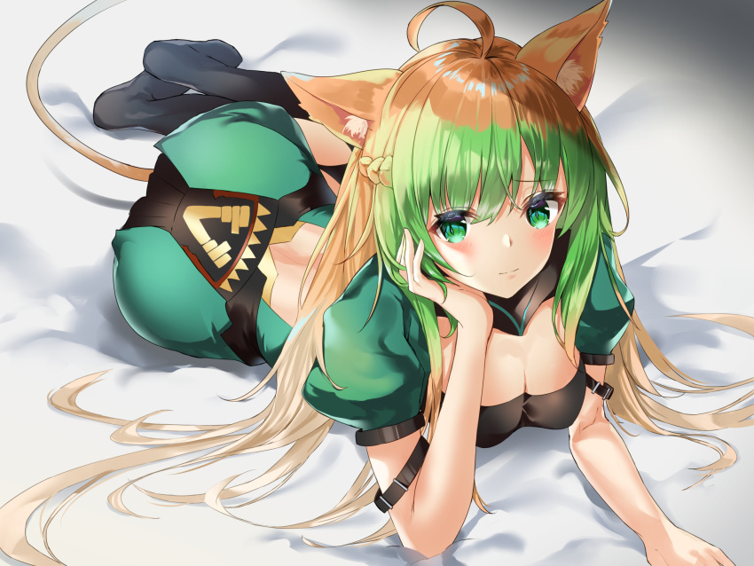 animal_ears archer_of_red cleavage fate/grand_order tail thighhighs tukise_33