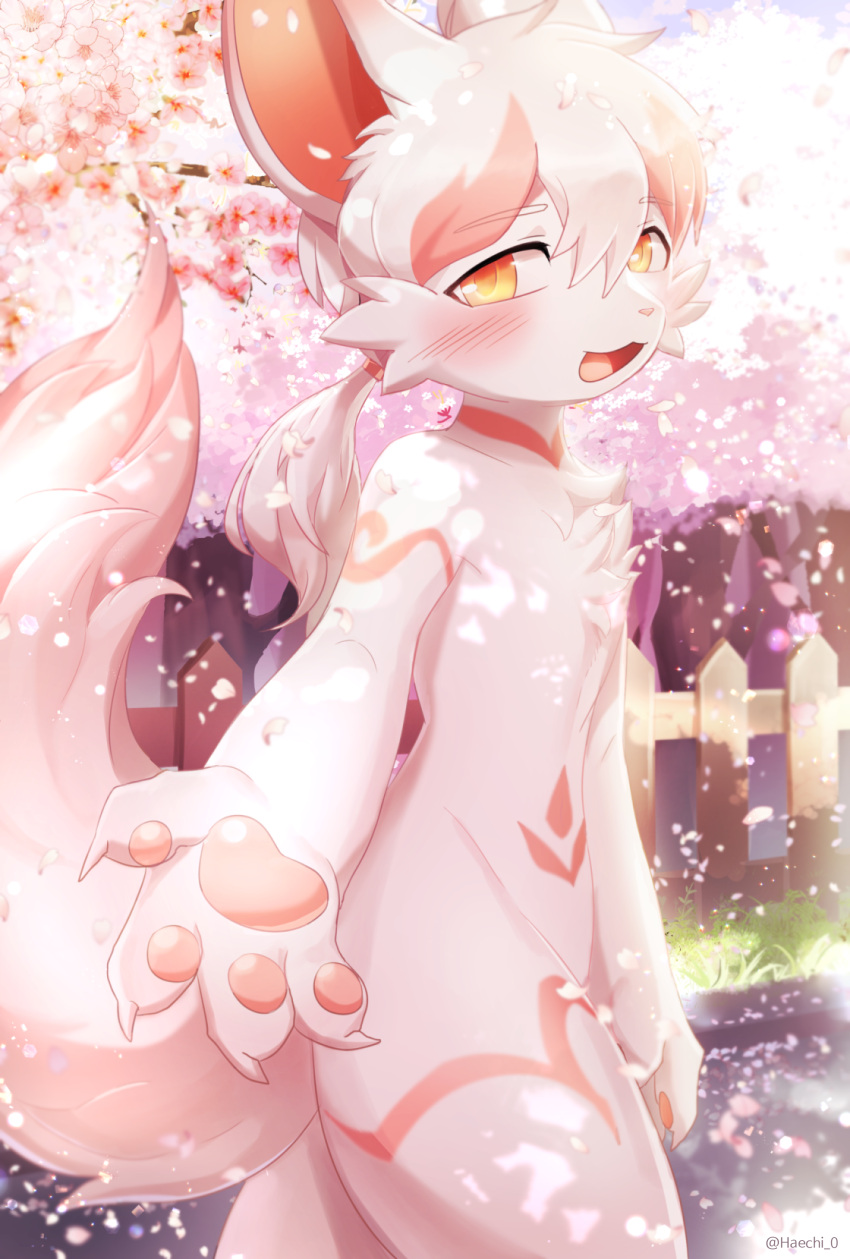 absurd_res ambiguous_anthro ambiguous_gender anthro blush canid canine casual_nudity cheek_tuft cherry_blossom cherry_tree chest_tuft dappled_light detailed_background facial_tuft falling_petals fence flower fox fruit_tree haechi_0 hair hi_res looking_at_viewer mammal offering_hand outside petals plant ponytail portrait public public_nudity raised_tail road sia_(chambanfurry) solo standing tail three-quarter_portrait tree tuft white_flower white_hair wind wood wood_fence yellow_eyes