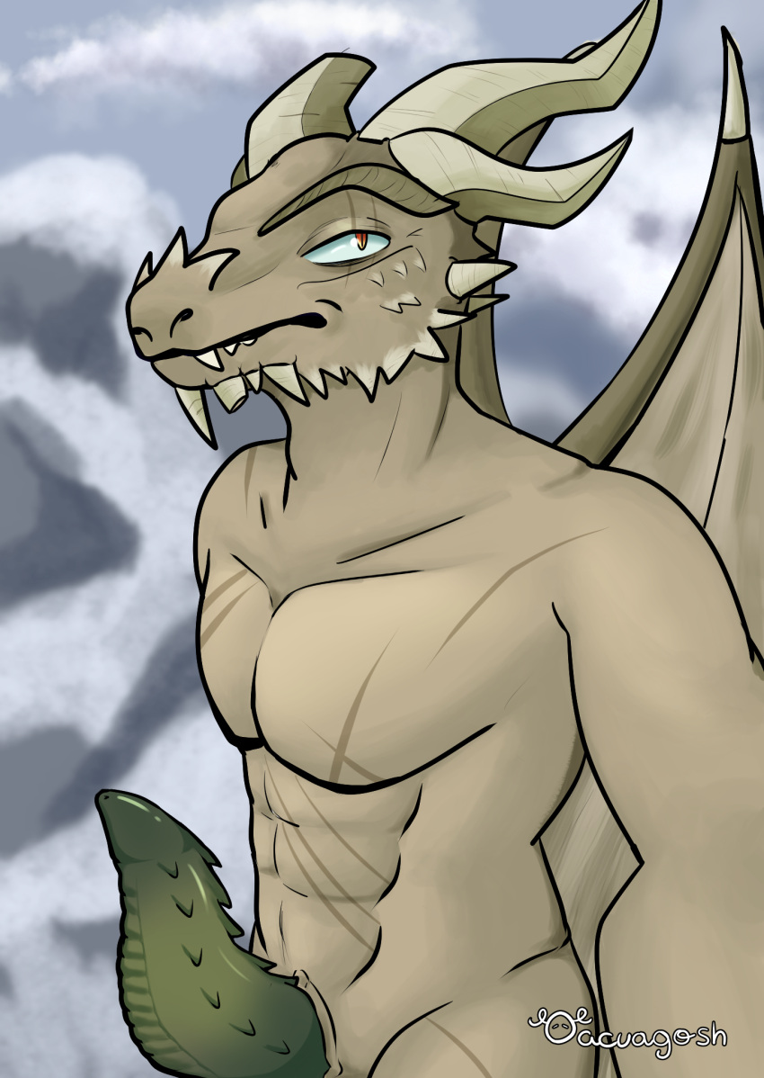 acuagosh anthro bethesda_softworks dragon genitals hi_res male microsoft mythological_creature mythological_scalie mythology paarthurnax penis scalie skyrim solo the_elder_scrolls