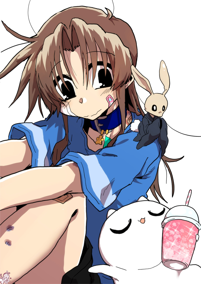 1girl :3 absurdres animal animal_on_shoulder bandaid bandaid_on_cheek bandaid_on_face black_eyes blue_collar blue_shirt brown_hair bruise cat closed_eyes closed_mouth collar collarbone commentary cup dated_commentary disposable_cup ed-chan_(edkuroki) edkuroki english_commentary gauze_on_cheek gauze_on_knee hair_intakes highres holding holding_cup injury long_hair looking_at_animal messy_hair original rabbit shirt signature simple_background smile wavy_mouth white_background