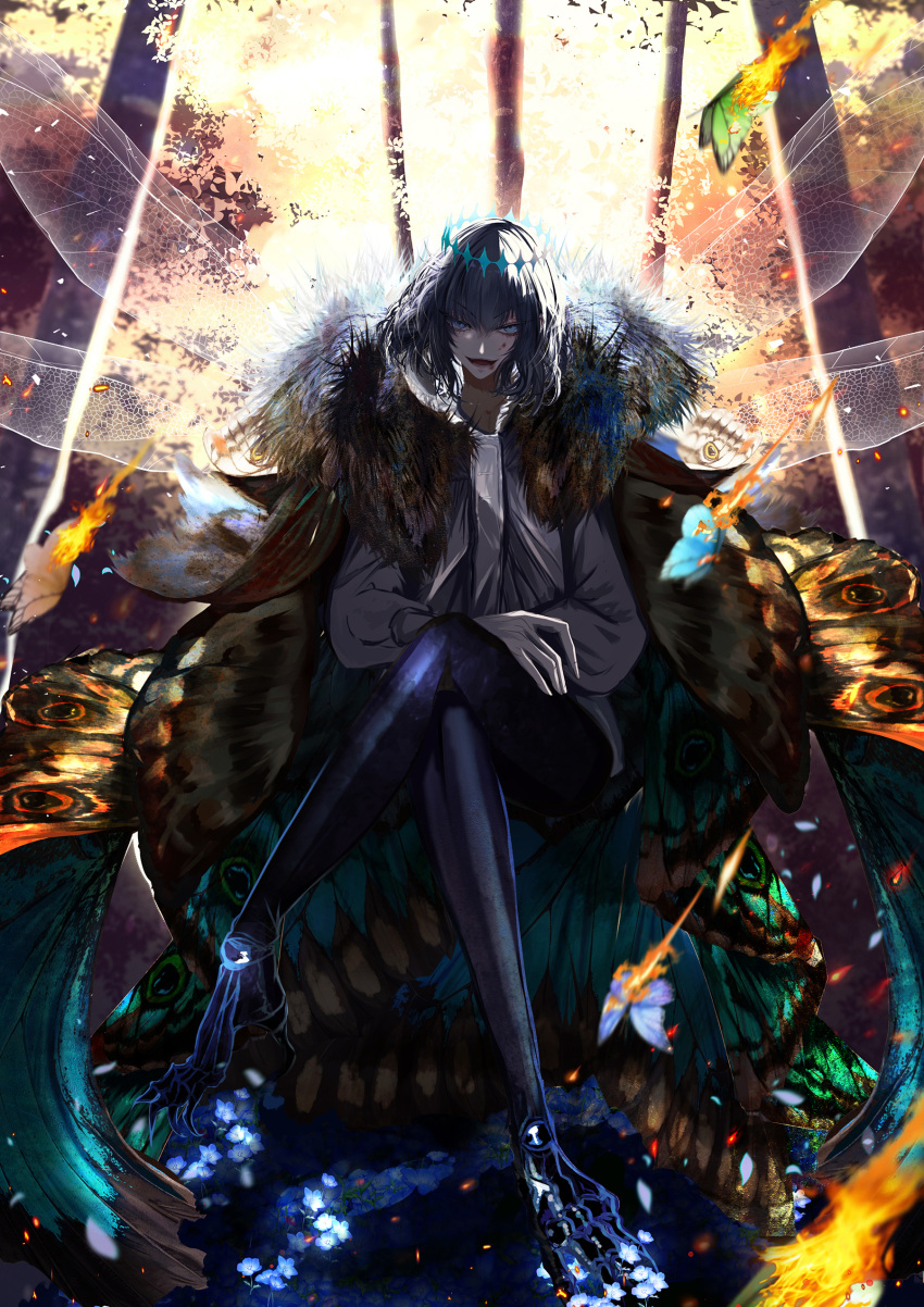 1boy absurdres antinese arthropod_boy arthropod_limbs black_hair blue_eyes bug butterfly_wings cape collared_shirt crossed_legs crown diamond_hairband dragonfly_wings fate/grand_order fate_(series) fire full_body fur-trimmed_cape fur_trim hands_on_own_knees highres insect_wings long_sleeves looking_at_viewer male_focus medium_hair oberon_(fate) oberon_(third_ascension)_(fate) shirt smile solo wing_cape wings