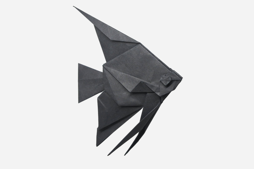 angelfish animal_focus english_commentary fish from_side highres monochrome origami_(medium) original simple_background tu_kaiming white_background