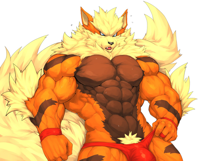 abs absurd_res anthro anthrofied arcanine arm_tuft big_muscles black_body black_fur blue_eyes blush bodily_fluids broad_shoulders bulge canid canine captainjohkid clothing elbow_tufts fangs fluffy fluffy_tail fur hi_res male mammal mostly_nude muscular muscular_male neck_tuft nintendo open_mouth orange_body orange_fur pok&eacute;mon pok&eacute;mon_(species) pubes simple_background sweat thong tuft underwear vein video_games white_background wristband yellow_body yellow_fur