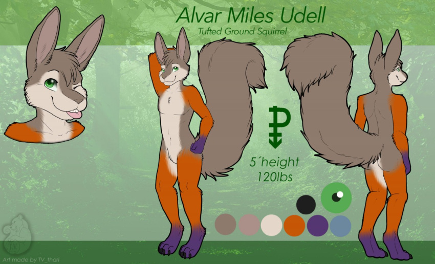 alvar_miles_udell english_text fur green_eyes grey_body grey_fur mammal model_sheet multicolored_body multicolored_fur one_eye_closed orange_body orange_fur purple_body purple_fur rodent sciurid solo standing text tongue tongue_out tufted_ground_squirrel tv_thari