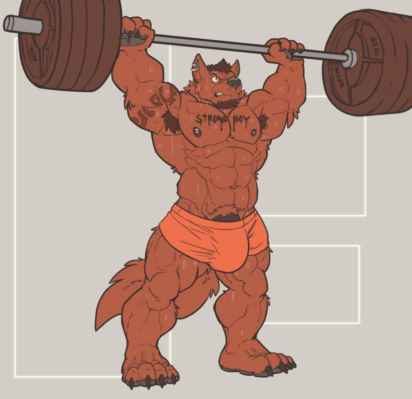 2017 4_toes 5_fingers abs absurd_res anthro armpit_hair barbell beard biceps big_bulge big_muscles black_nipples black_nose black_penis bodily_fluids body_hair bottomwear brown_body brown_fur brown_hair bulge canid canine canis clothed clothing ear_piercing ear_ring exercise facial_hair fingers fur hair hi_res huge_bulge male mammal muscular muscular_male nightterror nipples obliques pecs penis penis_base piercing plantigrade shorts simple_background solo standing sweat tattoo text thick_penis toes topless tremorwolf triceps vein veiny_penis weightlifting wolf workout