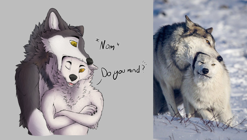 2019 5_fingers anthro canid canine canis crossed_arms ctahrpoe dialogue digital_media_(artwork) english_text fingers fur grey_body grey_fur hi_res mammal meme nom real simple_background sound_effects text white_body white_fur wolf