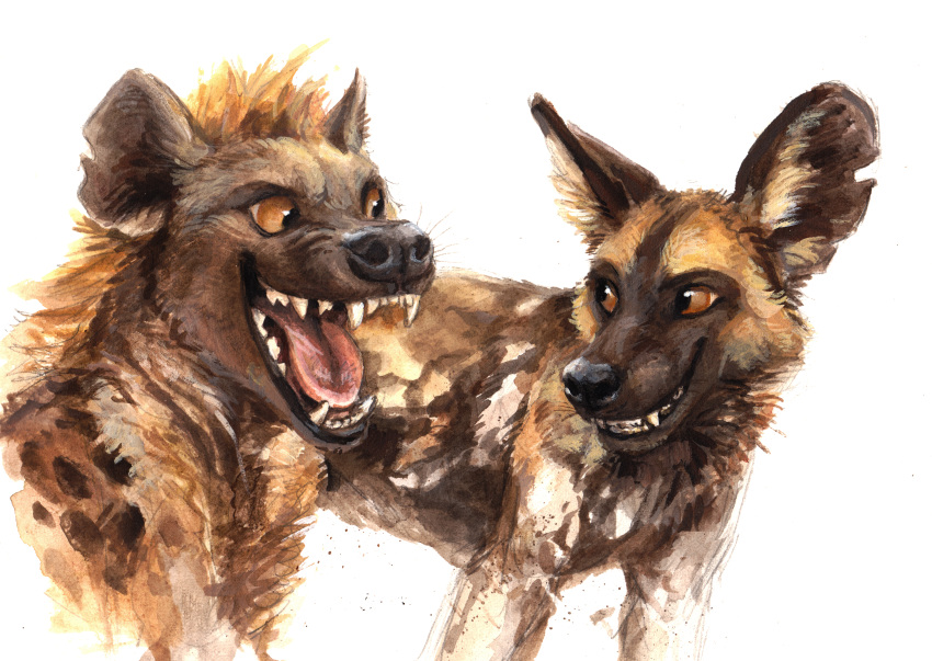 absurd_res african_wild_dog ambiguous_gender black_body black_fur black_nose black_spots brown_body brown_eyes brown_fur canid canine duo fangs feral fur hi_res hyaenid inner_ear_fluff kenket looking_at_another mammal multicolored_body multicolored_fur open_mouth open_smile sharp_teeth simple_background smile spots teeth tongue tuft whiskers white_background white_body white_fur