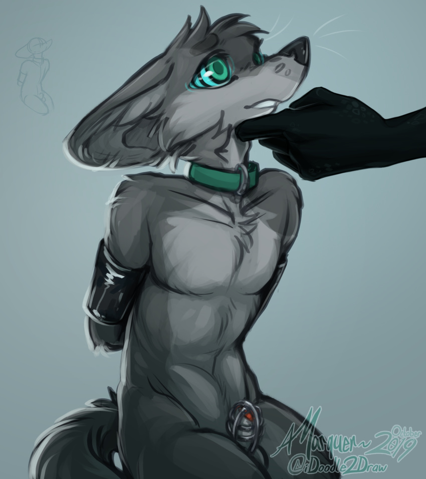 2019 ambiguous_gender animal_genitalia animal_penis anthro arms_tied balls bdsm black_body black_nose black_scales bondage bound canid canine canine_penis chastity_cage chastity_device collar countershade_torso countershading disembodied_hand faceless_ambiguous fennec fluffy fox fur gradient_background green_eyes grey_background grey_body grey_countershading grey_fur half-closed_eyes half-length_portrait hand_on_chin hands_behind_back hi_res hypnosis idoodle2draw inner_ear_fluff kneeling light_bondage luku male mammal mind_control nude penis poking_out portrait red_penis scales scalie signature simple_background sketch solo_focus spiral_eyes submissive submissive_male three-quarter_portrait tuft whiskers