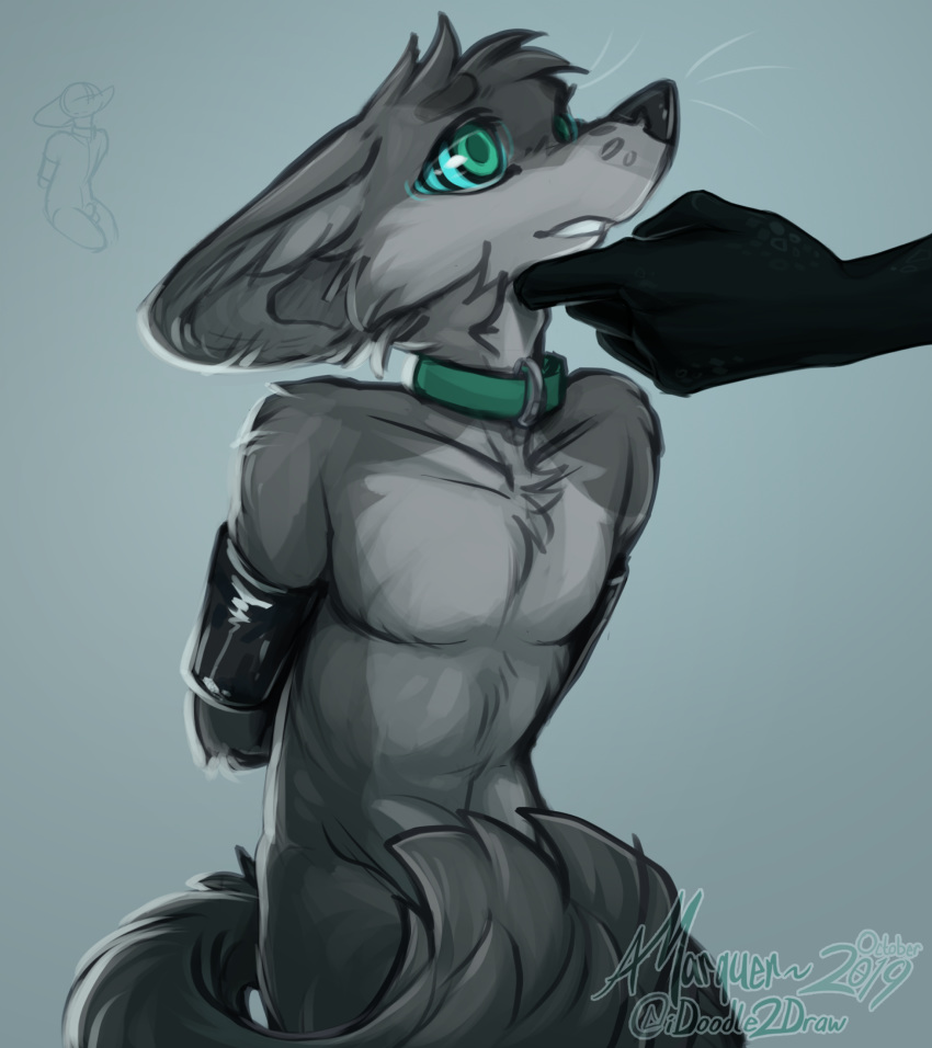 2019 ambiguous_gender animal_genitalia anthro arms_tied balls bdsm black_body black_nose black_scales bondage bound canid canine collar convenient_censorship countershade_torso countershading covering disembodied_hand faceless_ambiguous fennec fluffy fox fur gradient_background green_eyes grey_background grey_body grey_countershading grey_fur half-closed_eyes half-length_portrait hand_on_chin hands_behind_back hi_res hypnosis idoodle2draw inner_ear_fluff kneeling light_bondage luku male mammal mind_control nude penis portrait scales scalie sheath signature simple_background sketch solo_focus spiral_eyes submissive submissive_male tail_censorship three-quarter_portrait tuft whiskers