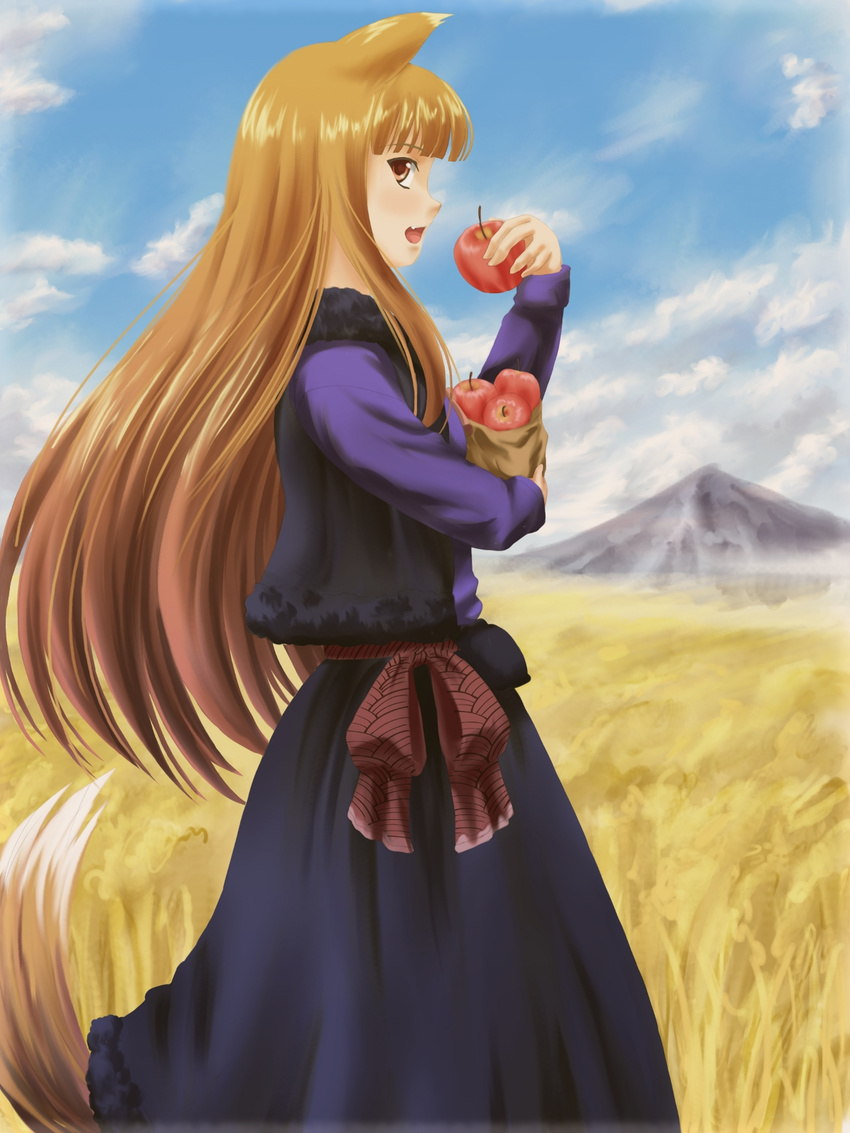 animal_ears apple bad_id bad_pixiv_id bag cloud day dress fang field food fruit highres holo long_hair mountain profile raisu red_eyes solo spice_and_wolf tail wolf_ears wolf_tail