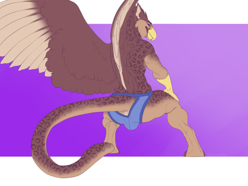 anthro avian beak bedroom_eyes brown_body brown_fur brown_spots bulge butt cheek_tuft clothed clothing conditional_dnp crouching digital_media_(artwork) digitigrade ears_back eyebrows face_tuft fur gradient_background gryphon half-closed_eyes head_tuft jockstrap kavik leopard_spots looking_at_viewer looking_back male muscular muscular_male pivoted_ears purple_background purple_eyes rear_view seductive signature simple_background smile smirk solo spots spotted_body spotted_fur spread_wings tan_body tan_fur topless tuft underwear watermark white_background wings xenoforge yellow_beak