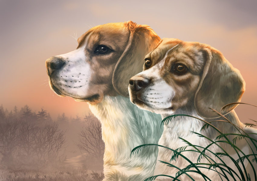 2017 ambiguous_gender beagle black_nose brown_body brown_eyes brown_fur canid canine canis day detailed_background digital_media_(artwork) domestic_dog duo feral fur hunting_dog mammal outside scent_hound sky white_body white_fur wolfroad