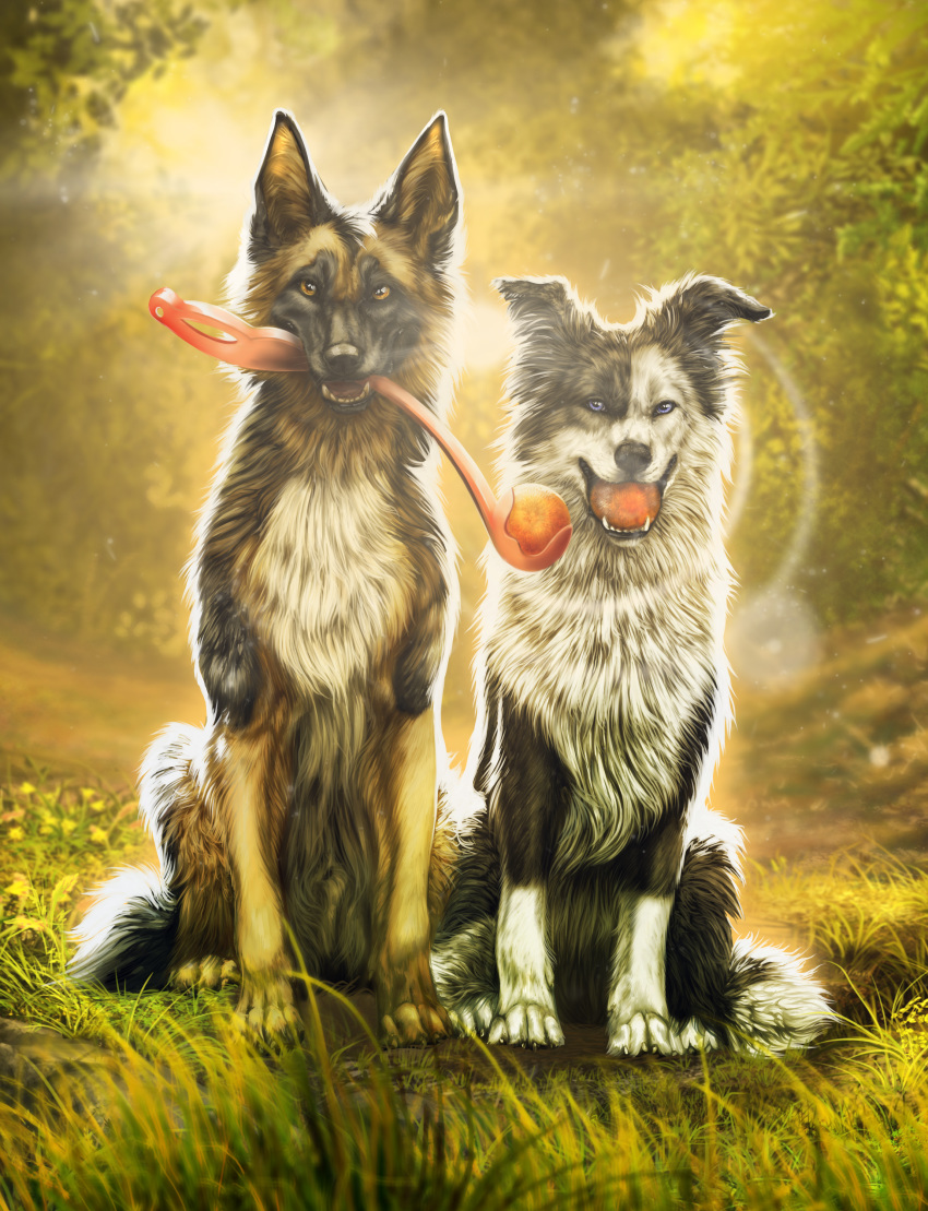 2018 4_toes absurd_res black_body black_fur border_collie canid canine canis collie digital_media_(artwork) domestic_dog duo feral fur german_shepherd herding_dog hi_res mammal open_mouth pastoral_dog sheepdog sitting teeth toes tongue white_body white_fur wolfroad