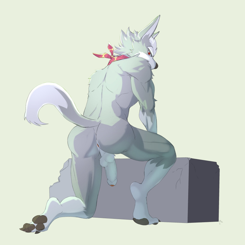 1:1 absurd_res anthro anus backsack balls biped butt canid canine canis claws dipstick_tail eyebrows foreskin fur grey_body grey_fur hi_res humanoid_penis jrjresq leg_markings looking_at_viewer looking_back male mammal markings multicolored_tail nintendo pawpads paws penis red_eyes simple_background socks_(marking) solo star_fox toe_claws video_games white_background wolf wolf_o'donnell