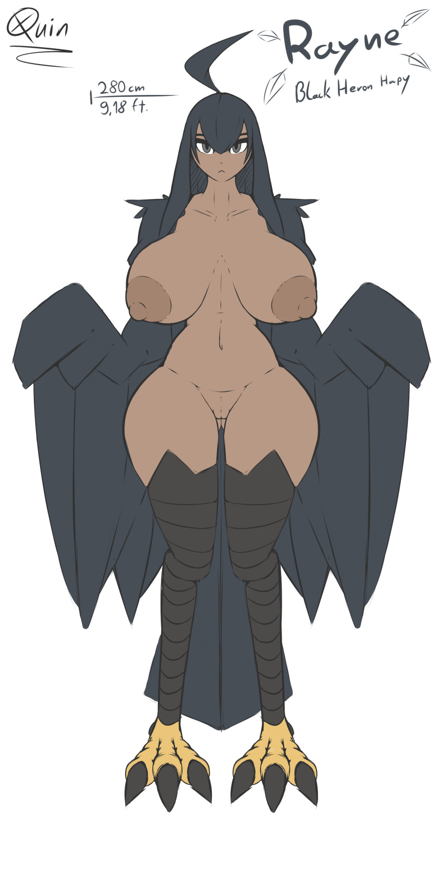 2019 3_toes absurd_res animal_humanoid avian avian_humanoid big_breasts black_body black_feathers breasts feathers female harpy hi_res humanoid looking_at_viewer mammal pussy quin-nsfw rayne_(quin-nsfw) simple_background solo toes
