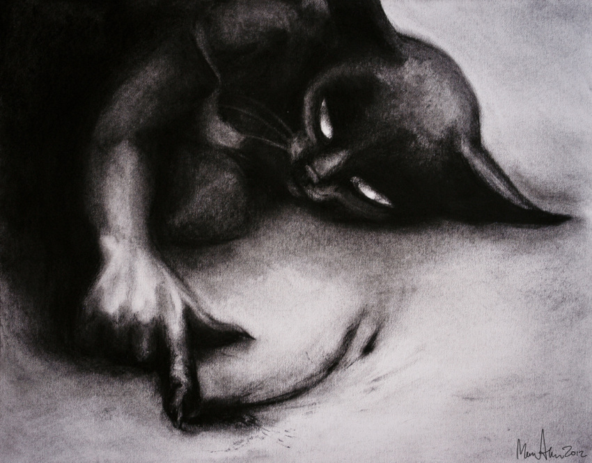 black_body black_fur caroro domestic_cat felid feline felis fur mammal soot_(ragamuffins) traditional_media_(artwork)