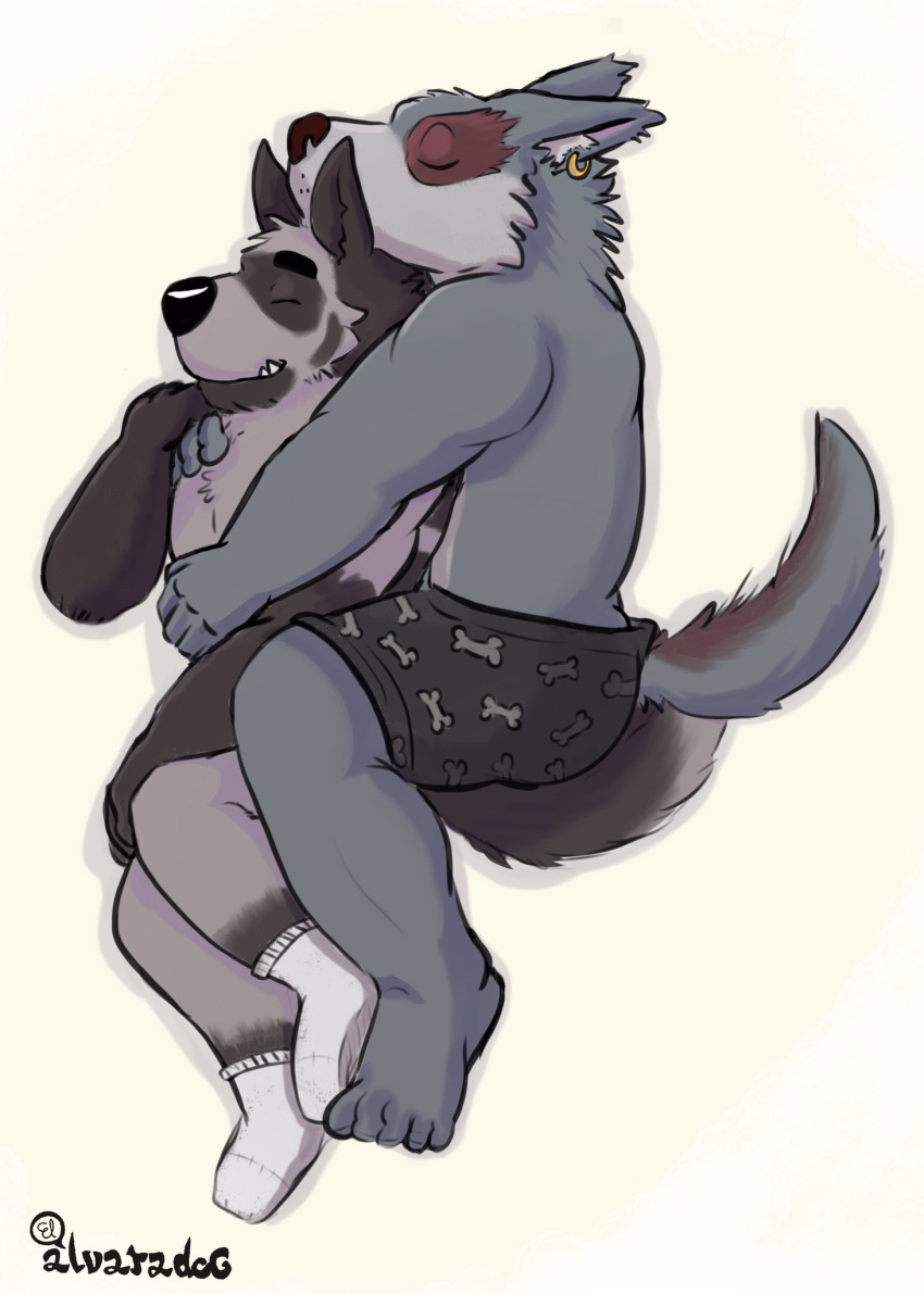 2019 anthro canid canine canis clothed clothing cuddling dave_(password) duo ear_piercing ear_ring elalvaradog eyes_closed fur furgonomics grey_body grey_fur hand_on_chest happy hi_res humanoid_hands hyaenid legwear lying male male/male mammal password_(grizz) piercing simple_background smile socks spooning striped_hyena topless tyson_(password) underwear white_clothing white_legwear white_socks wolf