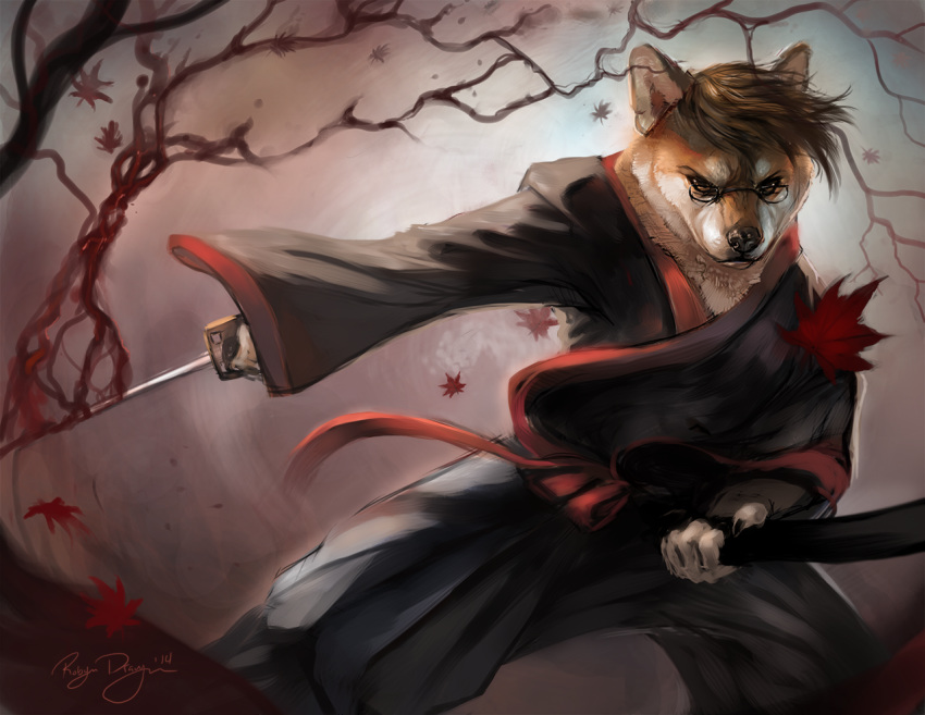 2014 abstract_background anthro black_nose brown_hair canid canine canis clothing detailed domestic_dog eyewear fluffy fur glasses hair holding_object holding_sword holding_weapon inner_ear_fluff katana leaf mammal melee_weapon orange_body orange_fur rhyu robe shiba_inu signature solo spitz sword tuft weapon white_body white_fur