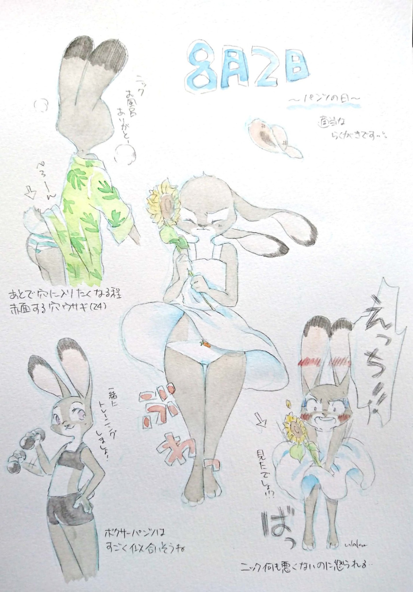 anthro barefoot blush bottomwear bra butt carrot_panties clothed clothing crop_top dipstick_ears disney dress embarrassed exercise eyes_closed flower fully_clothed fur grey_body grey_fur hat headgear headwear hi_res holding_object hotpants japanese_text judy_hopps lagomorph leporid mammal multicolored_ears painting_(artwork) panties plant purple_eyes rabbit scut_tail shirt shorts simple_background solo sports_bra standing text topwear traditional_media_(artwork) ulako underwear watercolor_(artwork) white_background white_body white_fur white_panties wind zootopia