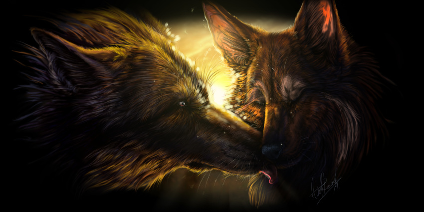 2014 black_nose brown_body brown_fur canid canine canis coyote digital_media_(artwork) fur hi_res mammal tongue wolf wolfroad