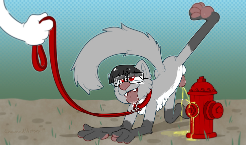 anthro bodily_fluids bowl_cut canid canine crownedvictory eyewear fire_hydrant floating_hand fur genital_fluids glasses grass grey_body grey_fur hair hi_res humanoid_penis leash male mammal peeing penis petplay puppyplay raised_leg red_eyes roleplay simple_background solo tongue tongue_out urine watersports
