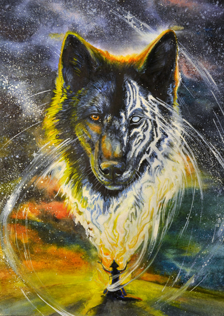 2015 black_body black_fur brown_eyes canid canine canis fur hi_res mammal traditional_media_(artwork) wolf wolfroad