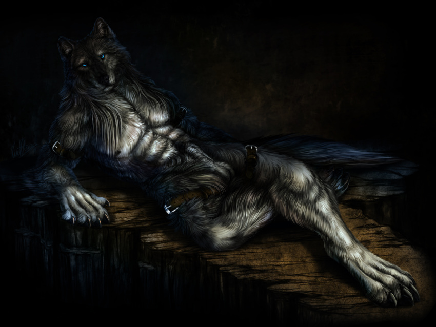 2014 4:3 4_toes 5_fingers abs absurd_res animal_genitalia anthro balls biped black_body black_fur black_nose blue_eyes canid canine canis digital_media_(artwork) digitigrade fingers fur hi_res male mammal sheath sitting solo toes wolf wolfroad