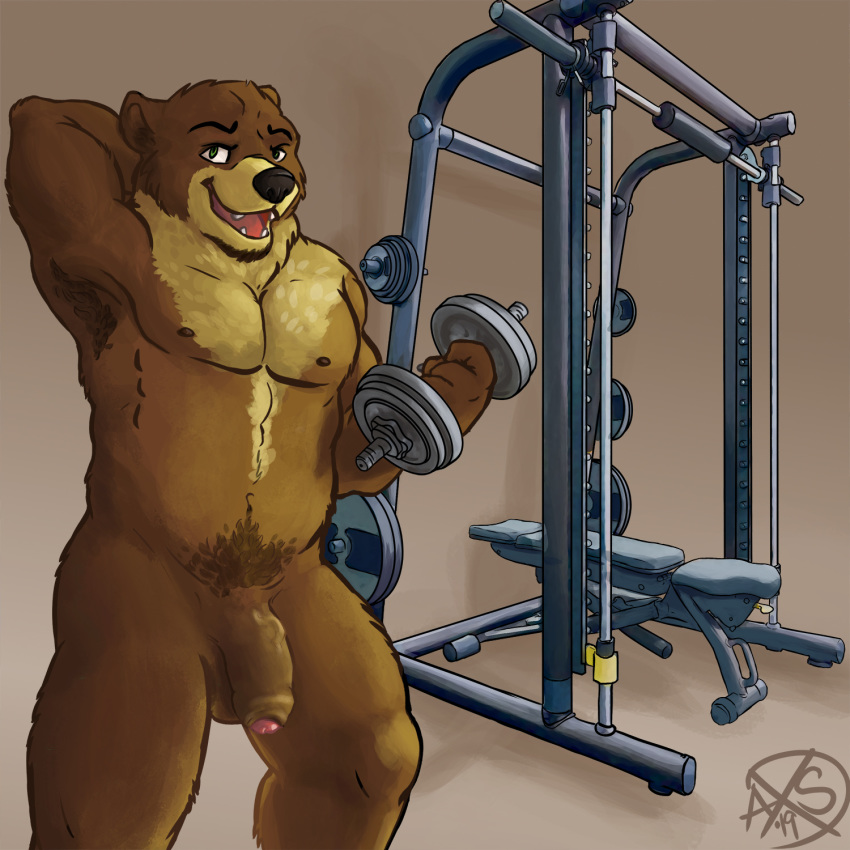 1:1 alphasabre big_penis brown_body brown_fur exercise fur gym hi_res humanoid_penis male mammal nude penis solo ursid workout