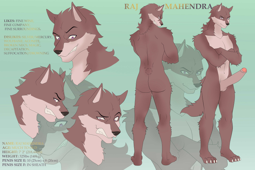 absurd_res anthro blonde_highlights brown_hair canid canine canis ear_piercing ear_ring erection hair hi_res highlights_(coloring) humanoid_penis indian male mammal model_sheet muscular muscular_male penis piercing purple_eyes raj_mahendra solo were werecanid werecanine werewolf wolf zutte-chan