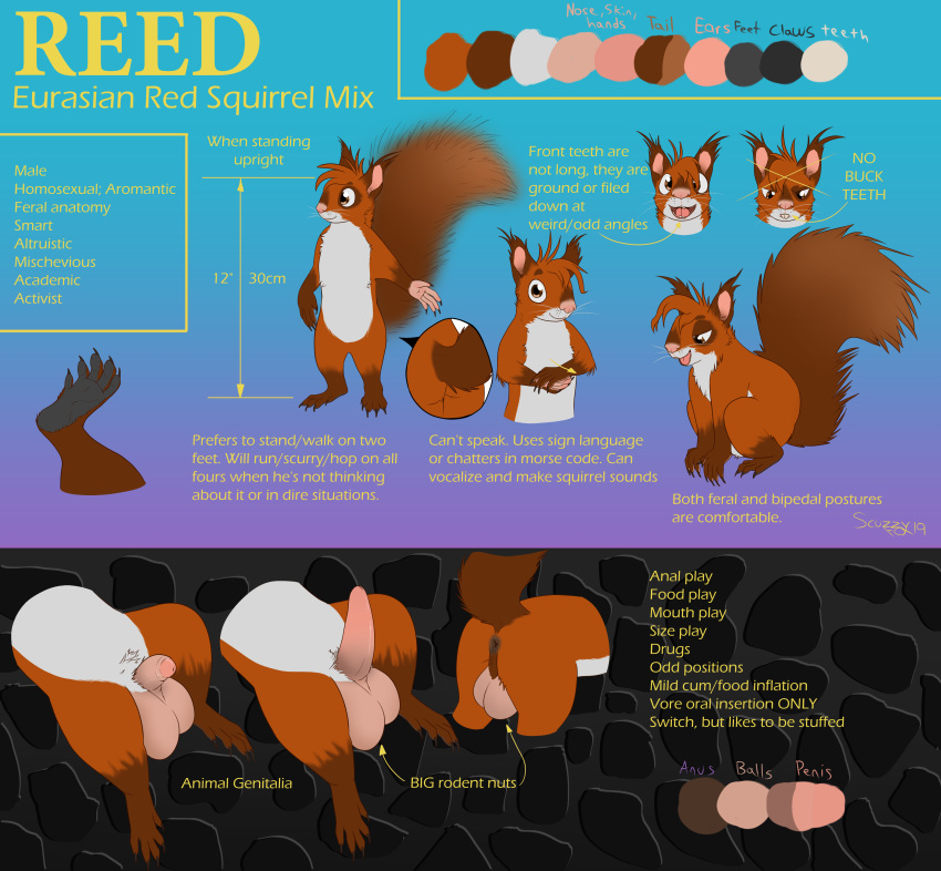2019 5_toes absurd_res animal_genitalia anus backsack balls barefoot biped claws erection eurasian_red_squirrel feral fingers flaccid fur hi_res hindpaw male mammal model_sheet nude open_mouth paws penis reed_(scuzzyfox) rodent sciurid scuzzyfox semi-anthro sign_language soles solo teeth toe_claws toes tongue tree_squirrel whiskers