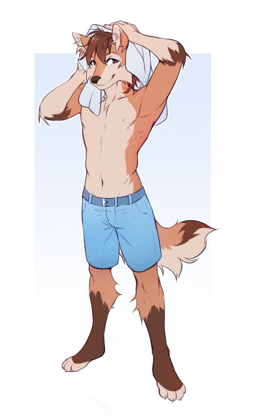 2019 4_toes 5_fingers absurd_res anthro brown_hair brown_nose canid canine canis clothed clothing digital_media_(artwork) digitigrade domestic_dog fingers fumikotik hair hi_res male mammal navel simple_background solo toes topless